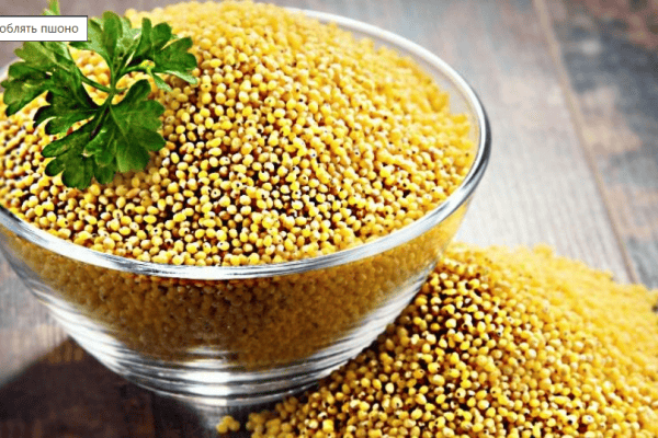 Жовтий гірчиця в склянці, додає смак і корисність стравам.