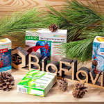 Кверцетин і дигідрокверцетин — природні антиоксиданти для судин
